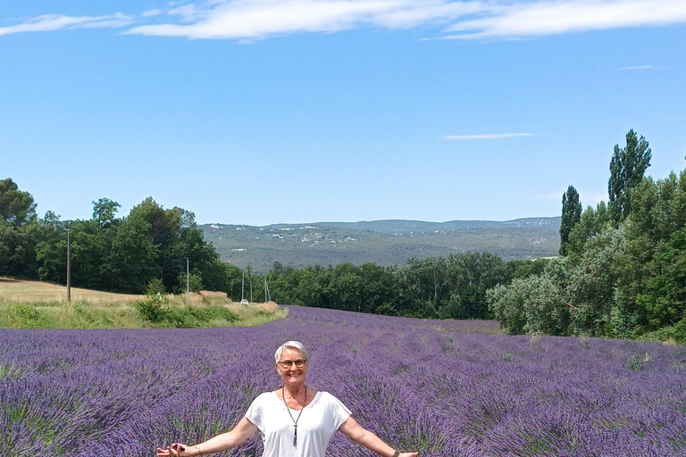 From Aix-en-Provence: Luberon Villages and Lavender Tour