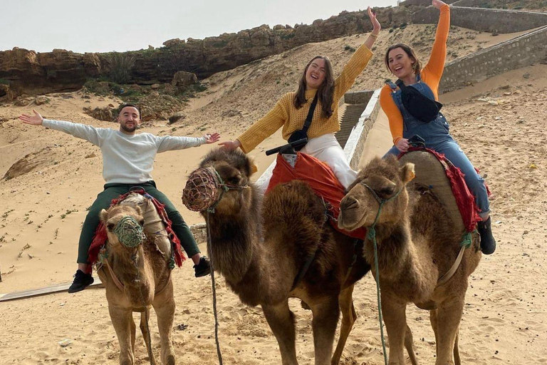 Sunset with Camel ride in Tangier ends with walking tour