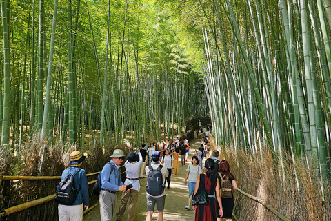 Kyoto: Tour privato di un giorno intero, personalizzabile, del Patrimonio dell&#039;UmanitàTour privato in inglese (Kyoto centrale)