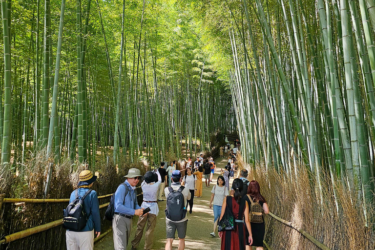 Kyoto: Tour personalizzabile di 4 ore dei siti patrimonio dell&#039;umanitàTour privato in inglese (Kyoto centrale)