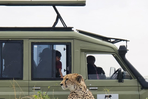 3-Day Maasai Mara Safari