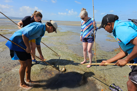 Daintree, Crucero en Cocodrilo y Excursión Aborigen por la Playa y los Peces