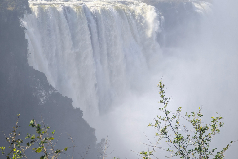 Victoria Falls: Historic Town Tour, Big Tree & Guided Walk