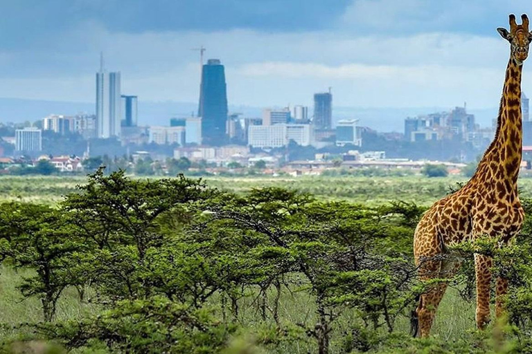 Visite à pied de la ville de Nairobi