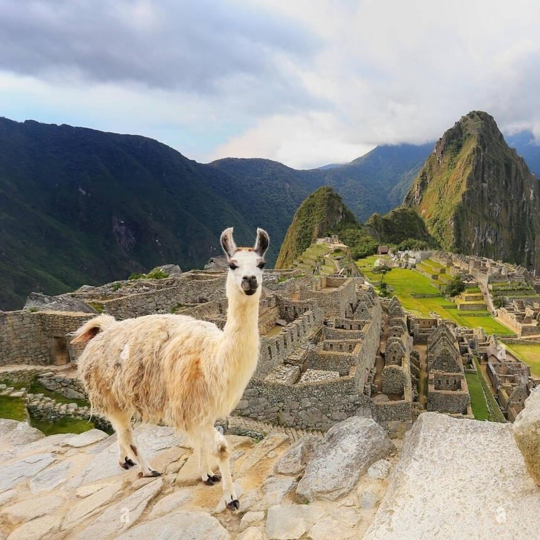 Galería de fotos para redes