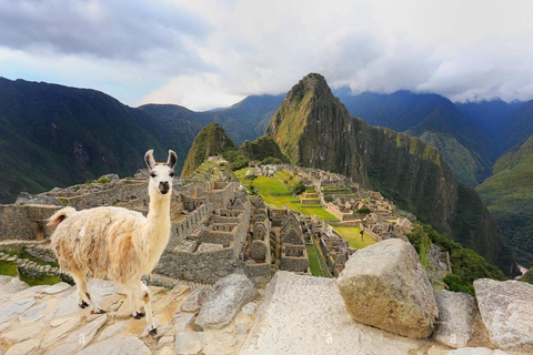 Machu Picchu: Official Ticket – Choose Circuit 1, 2 or 3 1A – Machu Picchu Mountain Route