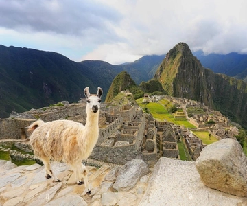 Machu Picchu: Official Ticket Access to the Best Circuits