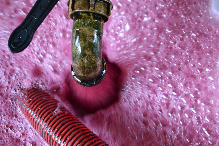 Visit a family-run winery and its troglodyte cellar in Bourgueil Visit the family winery and its troglodyte cellar