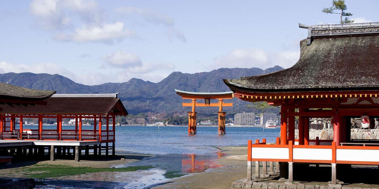 From Kyoto: Hiroshima and Miyajima Day Trip by bullet train