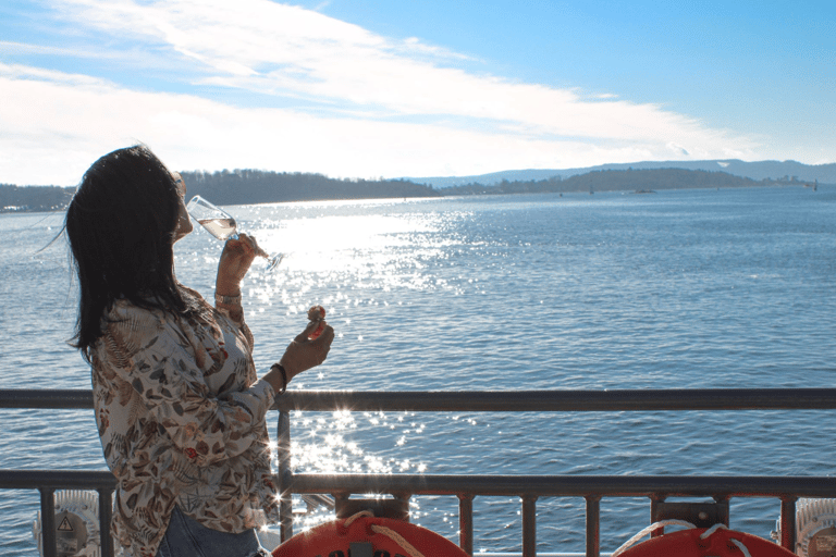 Oslo : Croisière touristique dans le fjord d'Oslo en bateau électrique