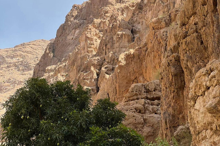 Muscat Oman Grand Canyon, Jebel Shams & Nizwa