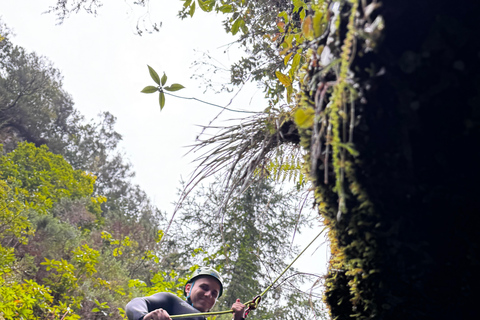 Madeira: Canyoningtocht voor gevorderdenMadeira: Canyoning voor de gevorderden