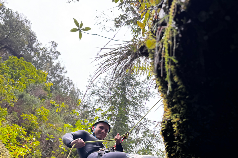 Madeira: Canyoningtocht voor gevorderdenMadeira: Canyoning voor de gevorderden
