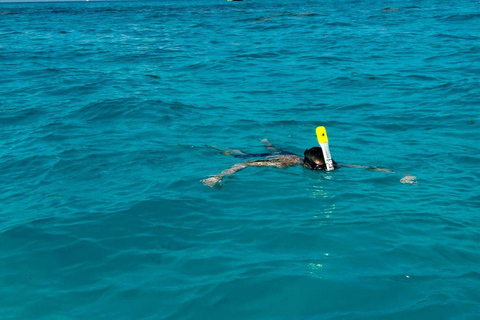 Snorkel Adventure for All Ages in Cancun 2.5 hrs