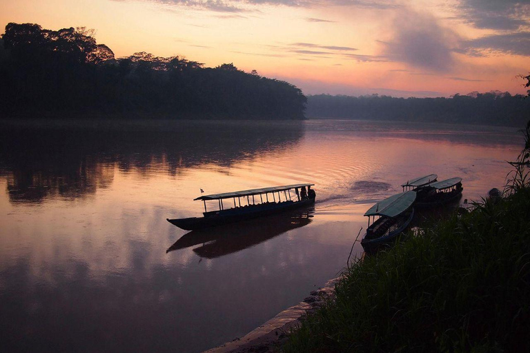 Puerto Maldonado: Chuncho Macaw Clay Lick & Kayak Tour
