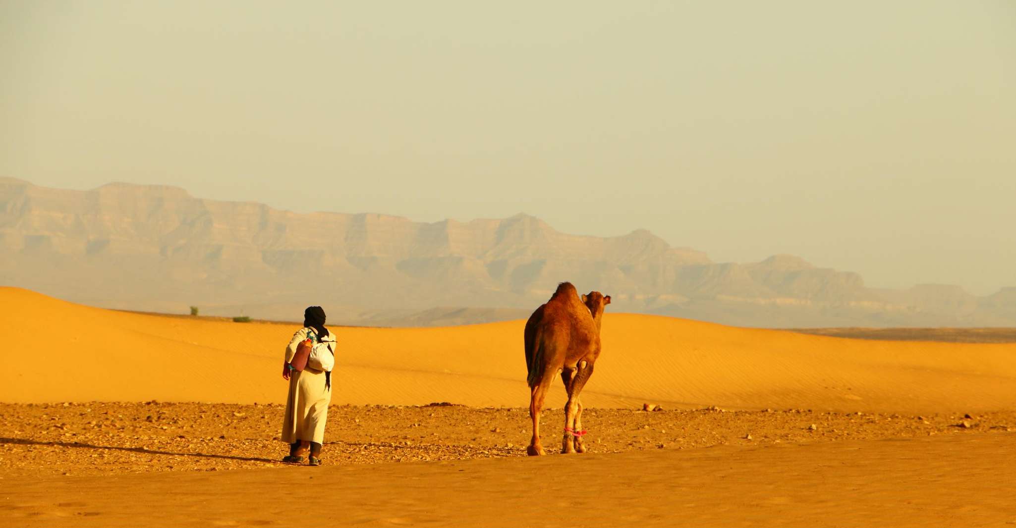 Zagora, Overnight in luxury desert camp with Camel Ride, - Housity