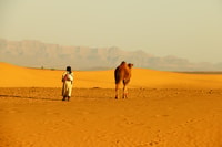 Zagora, pendant la nuit dans un camp de désert de luxe avec une balade à camel, - Housity