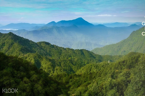 Bach Ma National Park Jungle Trek & Waterfall Adventure From Hue City: Group Tour