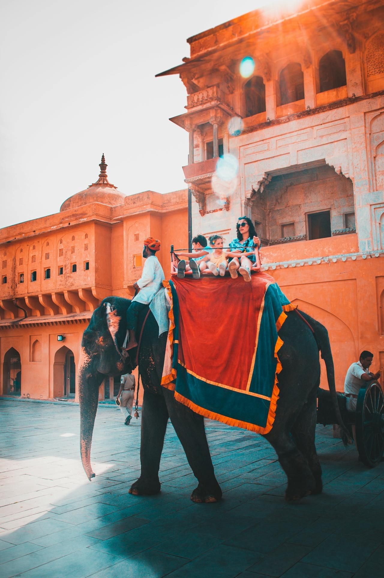 Jaipur: Private Städtetour mit Amber Fort Stepwell & Guide