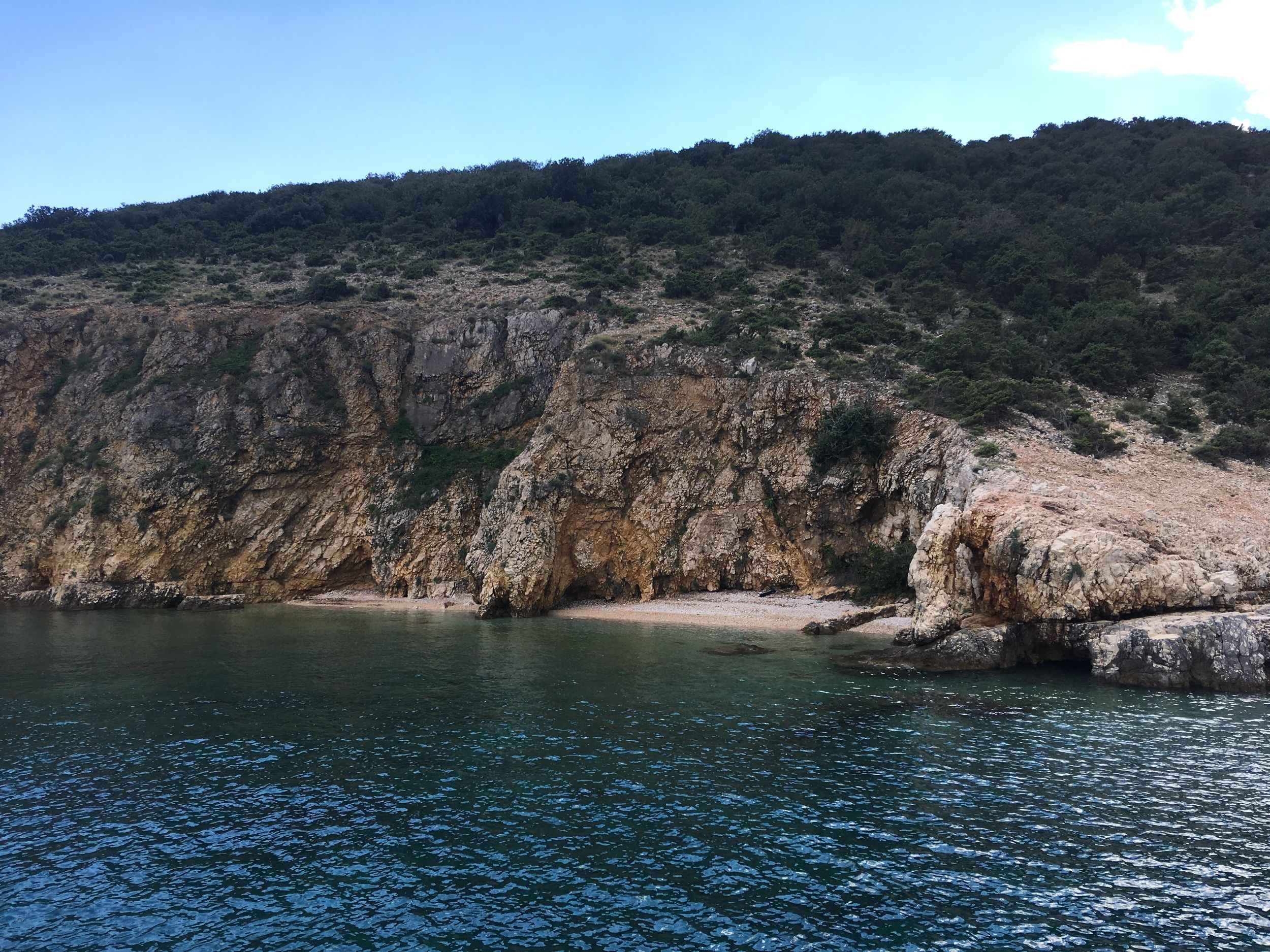 5 Stunden: Insel Plavnik – Schwimmen und Schnorcheln mit Kapitän Bobo (öffentlich)