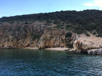 5,5h Plavnik Island: Swim & Snorkel with Capt. Bobo (Public)