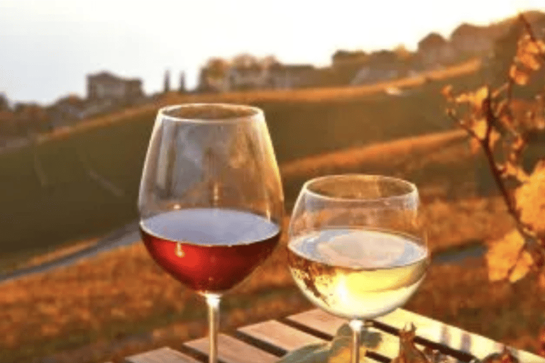 From Lisbon: Half-Day Wine Tasting Tour