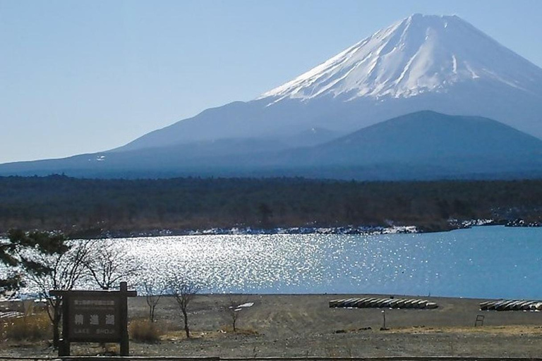 Fuji: kultur, skog och utsikt – privat skräddarsydd turFuji-kultur, skog och naturskön utsikt: Privat skräddarsydd tur