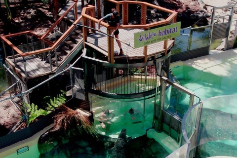 Port Douglas: Wildlife Habitat Zwemmen met krokodillenSolo zwemmen