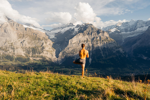 Excursion privée d&#039;une journée : Interlaken à Lauterbrunnen et Grindelwald