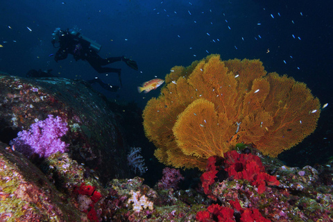 Pattaya: Discover Scuba Diving Experience with Instructor