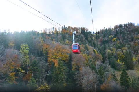 Zurich : visite citadine privée avec photos et trajet en téléphérique