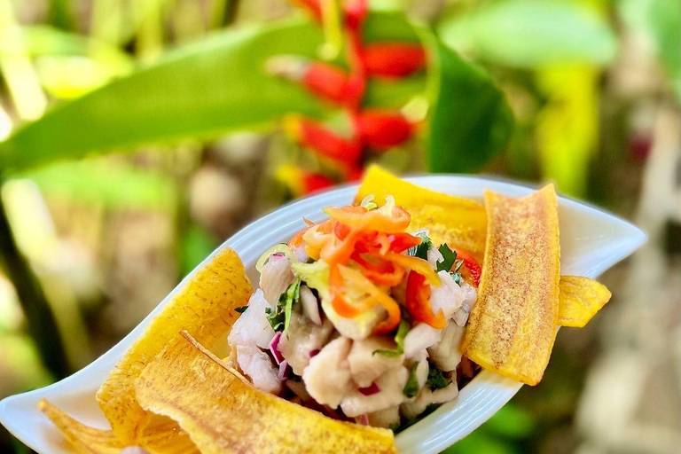 Boca Chica: Guided Kayak Tour with Lunch