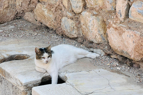Ephesus All Inclusive Private Tour with Turkish Bath & Lunch