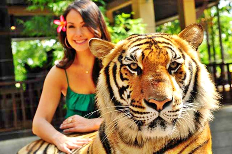 Phuket: Educational Tiger Conservation Tour with Transfers Smallest Tiger