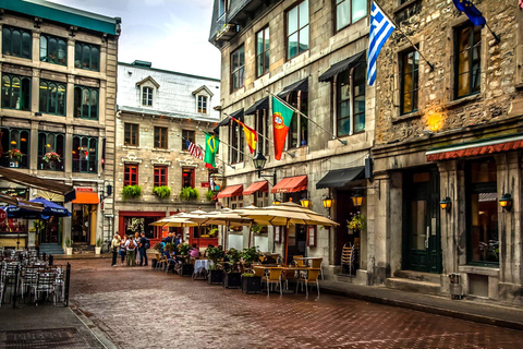 Montreal: Half-day Guided City Tour