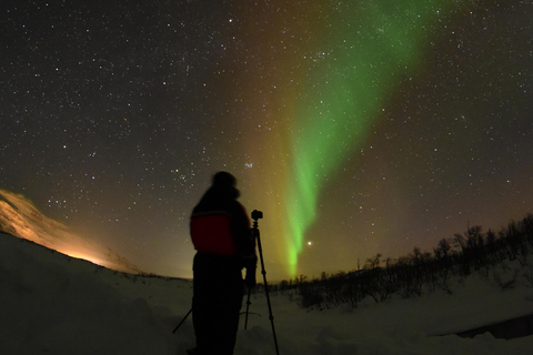 Abisko: Aurora jagen met sneeuwscootersAurora achtervolging - Slede