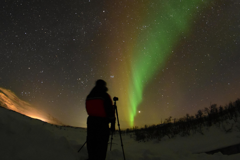 Abisko: Persecución de auroras con motos de nieveAurora persiguiendo - Trineo