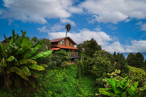 Mar Negro: Excursión a la Playa Magnética y al Jardín Botánico de Batumi