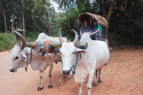 Sigiriya; Minneriya Elephant Safari & Village tour Minneriya Elephant Safari; Habrana/Sigiriya