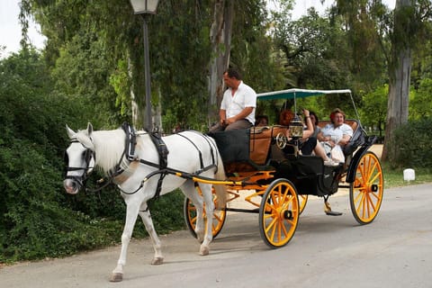 Córdoba: Private Horse-Drawn Carriage Ride Through the Jewish Quarter and the Mosque
