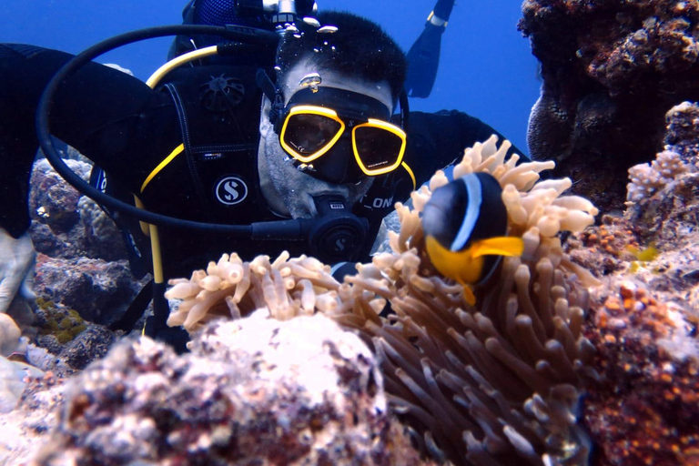 Blue Bay: Discover Scuba Diving