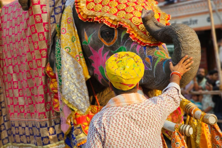 Från Jaipur : Morgonsoluppgång med Jaipur Flower Market TourTur med bil och förare med guide och entrébiljetter till monument