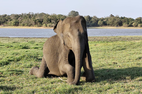 From Sigiriya-Hurulu Eco Park Jeep Safari Excluded tickets