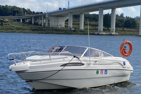 Private boat tour in PortoPorto: Douro River Private Boat Cruise