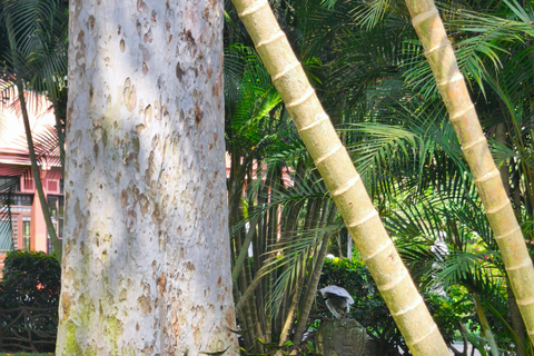 Tour of La Aurora Zoo, Historic Center, and Ciudad Cayalá in Guatemala