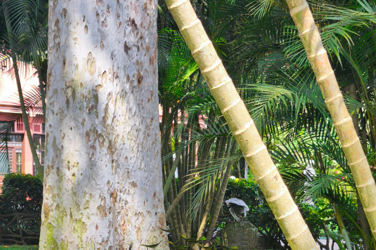 Tour of La Aurora Zoo, Historic Center, and Ciudad Cayalá in Guatemala