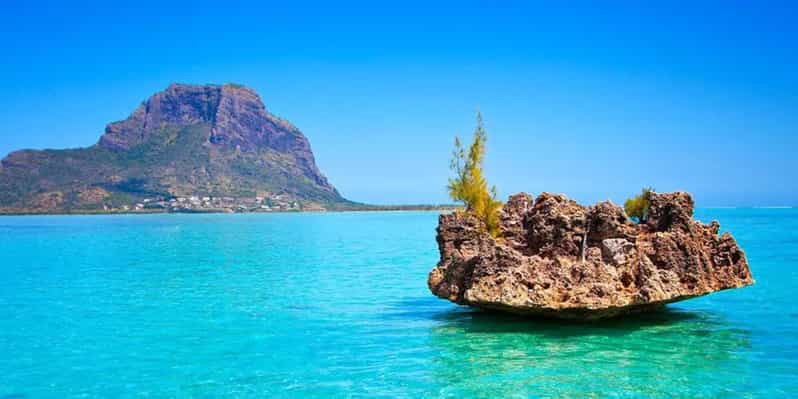 Full Day Excursion:Dolphin Watch,Crystal rock and Lunch