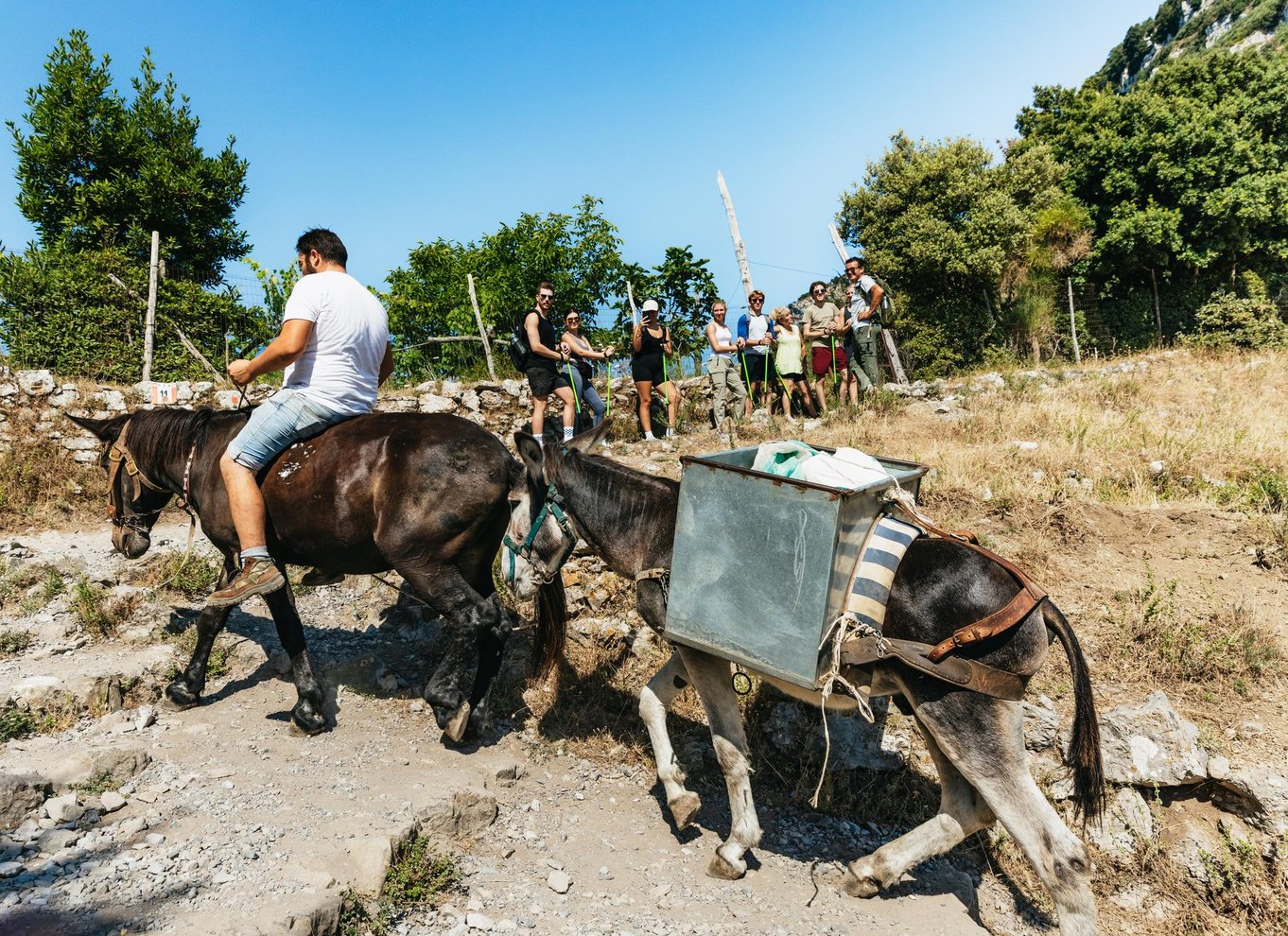 Fra Sorrento: Guidet vandretur på gudernes sti med transport