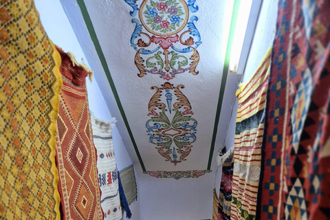 Excursión de un día a Cartago y Sidi Bou Said