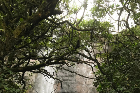 Kandy: Knuckles Mountain Range 2-Day Camping Tour